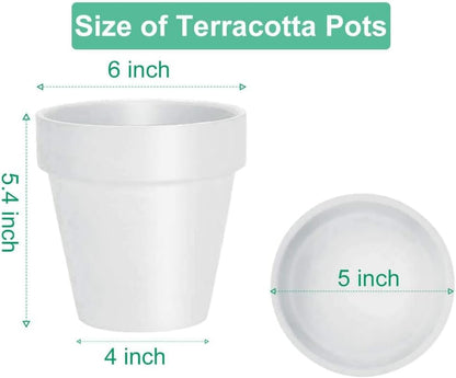 vensovo 6 Inch White Terracotta & Clay Pots for Plant with Saucer - 4 Pack Medium Terra Cotta Planter with Drainage Hole, Flowerpot for Indoor Outdoor Plants, Crafts, Wedding Favor