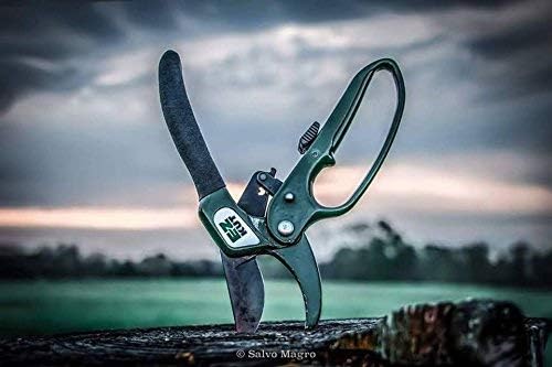 EZ Kut Original Ratcheting Pruner Kit with Molded Ballistic Nylon Sheath and Carbide Blade Tool, Green and Black