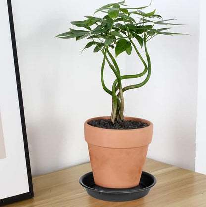 6 Pack Plastic Plant Saucer Water Drip Tray, 4 5 6 7 8 9 10 11 12 13 15 17 19 inch, Heavy Sturdy Plant Drainage Tray for Indoors Outdoor, Flower Saucers for Pots Base (4", Black)