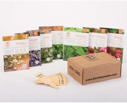 Bentley Seed Medicinal Herbs Starter Kit – Non-GMO Seeds for Indoor Planting - Heirloom Seed Packets - Individual Packets for Chamomile, Lavender, Catnip, Mint, Bee Balm, Lemon Balm, Purple Cone