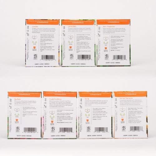 Bentley Seed Medicinal Herbs Starter Kit – Non-GMO Seeds for Indoor Planting - Heirloom Seed Packets - Individual Packets for Chamomile, Lavender, Catnip, Mint, Bee Balm, Lemon Balm, Purple Cone