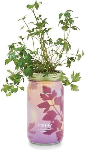 Modern Sprout Garden Jar Gift Pack - Self-Watering Hydroponics Growing System Kit with Organic Herb Seeds - Seed Starter Kit for Indoor Herb Garden - Home Decor & Gifting - Basil, Parsley & Mint