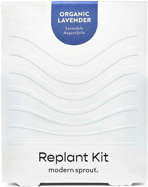 Modern Sprout Mason Garden Jar + Replant Kit - Self-Watering Hydroponics Growing System Kit w/Organic Herb Seeds - Jar Planter for Indoor Herb Garden - Seed Starter - Home Decor Gifting - Lavender