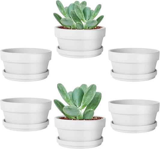 vensovo 3.7 Inch White Terracotta Shallow Succulent Pots - 6 Pack Terra Cotta Clay Pot with Saucer, Cacuts Indoor and Outdoor Planters with Drainage Hole