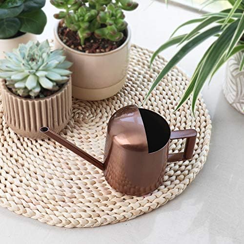 Watering Cans, 10oz/300ml Stainless Steel Long Spout Small Watering Sprinkling Pot, Indoor Outdoor Garden Flower Succulents Plant Watering Cans, Stylish Gardening Decoration(Bronze)