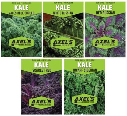 Kale Seeds for Planting - Plant & Grow Heirloom Kale Varieties Home Outdoor Garden – Easy Grow Planting Packet Instructions Included, Great Gardening Gift – 2 Packets of Each Variety