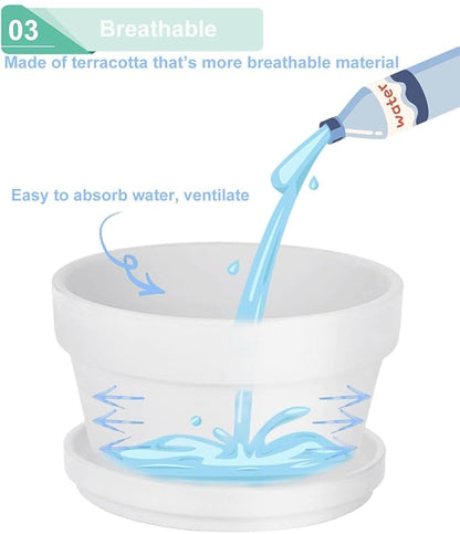 vensovo 3.7 Inch White Terracotta Shallow Succulent Pots - 6 Pack Terra Cotta Clay Pot with Saucer, Cacuts Indoor and Outdoor Planters with Drainage Hole