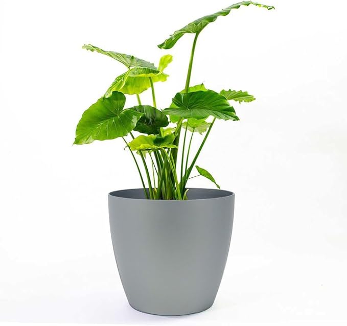 Memphis 15" Round Indoor Floor Planter Pot – Lightweight & Durable Plastic, Modern Design, Made in USA, Recyclable Large Plant Container for Home & Office Décor (Silver)