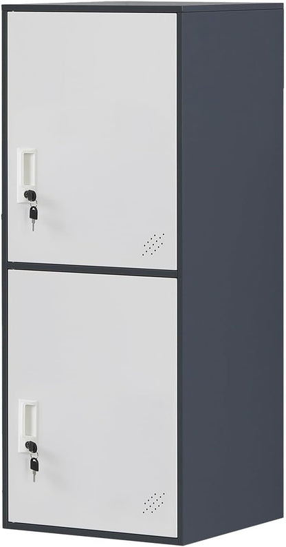 2 Door Metal Storage Locker Cabinet for Office, Home, Gym, School, Steel Cabinet to Storage File, Toys, Shoes and Sports Equipment, Locker Organizer for Gym Office Bedroom (2 Door, Grey)