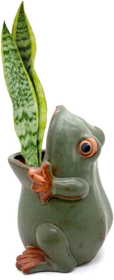7" Ceramic Frog Shaped Plant Pot for Bonsai Flower Succulent Planter Candy Dish Pencil Holder Decor Multipurpose Frog Gift