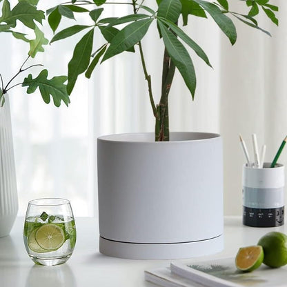 Ceramic Plant Saucer 8 inch White, Planter Water Drip Trays for Indoor Plants, Thick Durable Sturdy Flower Pot Saucers for Glazing Pots Base, Sizes 4-12 inch