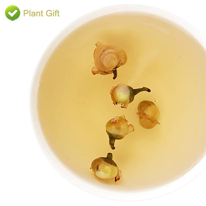 PlantGift Snow Plum Blossom Tea, 60G/2.11oz 雪梅花 Blossom Tea Flower, Chinese Dried Plums, Health Tea