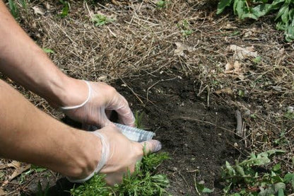 Lead Test Kit in Paint, Dust, or Soil 20PK (1 Bus. Day) Schneider Labs