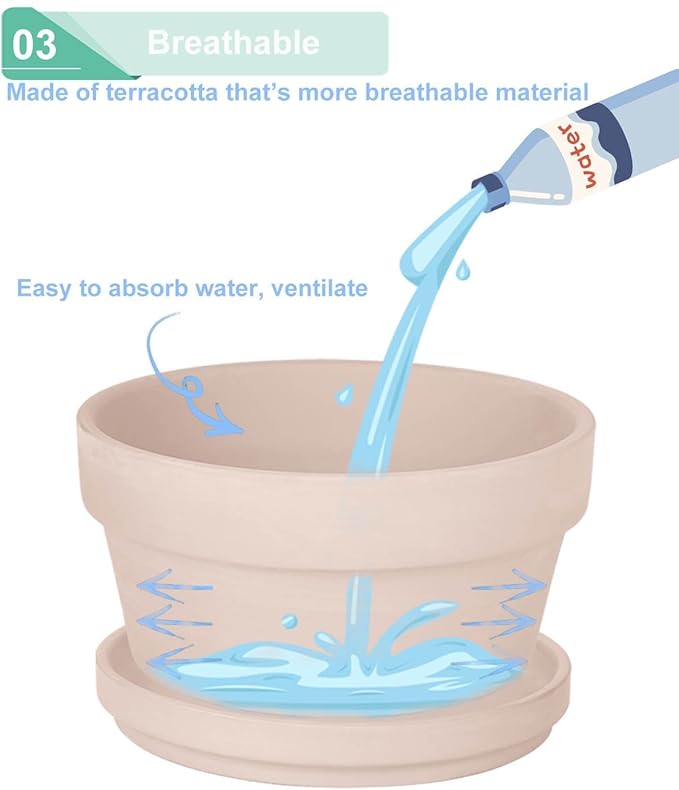 vensovo 5.7 Inch Pink Terracotta Shallow Succulent Pots - 6 Pack Terra Cotta Clay Pot with Saucer, Cacuts Indoor and Outdoor Planters with Drainage Hole