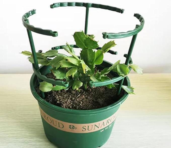 Plant Support Stakes Round Plant Support Ring Cage Shrub Holder for Vegetables Flowers 20Set..