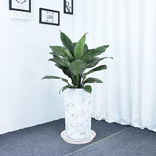 6 Pack of 12 inch Plant Saucer, Heavy Duty Plastic Plant Saucer 12" Round, Plant Tray for Pots, Flower Plant Saucers for Indoors, Plant Trays for Planter 11"/12" (12 inch, Creamy White)