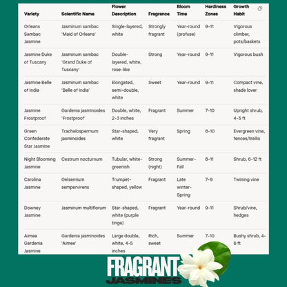 2 Frostproof Jasmine Plants Live, Climbing Jasmine Indoor Outdoor Live, Fragrant, 5-9" in Tall, No Pot, Hardy and Fast-Growing