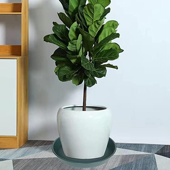 6 Pack of 10 inch Plant Saucer Bird Bath Bowl, Heavy Duty Plastic Plant Saucer 10 inch Round, Durable Plant Tray for Pots, Plant Saucers for Indoors, Plant Trays for Planter (10", Green)