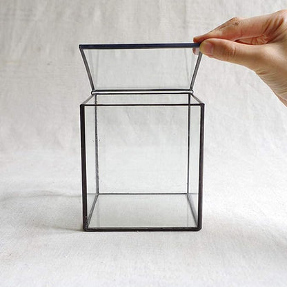 Small Square Glass Terrarium with Lid,Geometric Clear Box for Indoor Plants,Black Little Handmade Planter Pot for Succulents,Moss and Air Plant Fern,Home Garden Decor,4.3 x 4.3 x 4.7inch