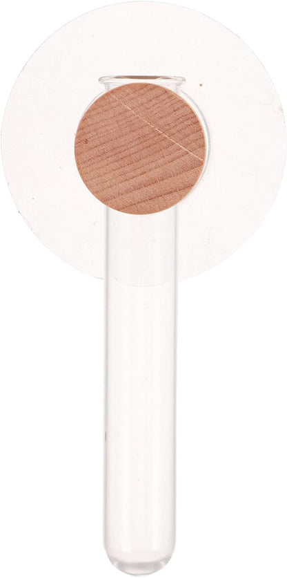 Milisten Plant Propagation Tubes: Wall Hanging Plant Terrarium with Wooden Stand Vase Glass Planter Stations for Hydroponic Flower Cutting Home Decor