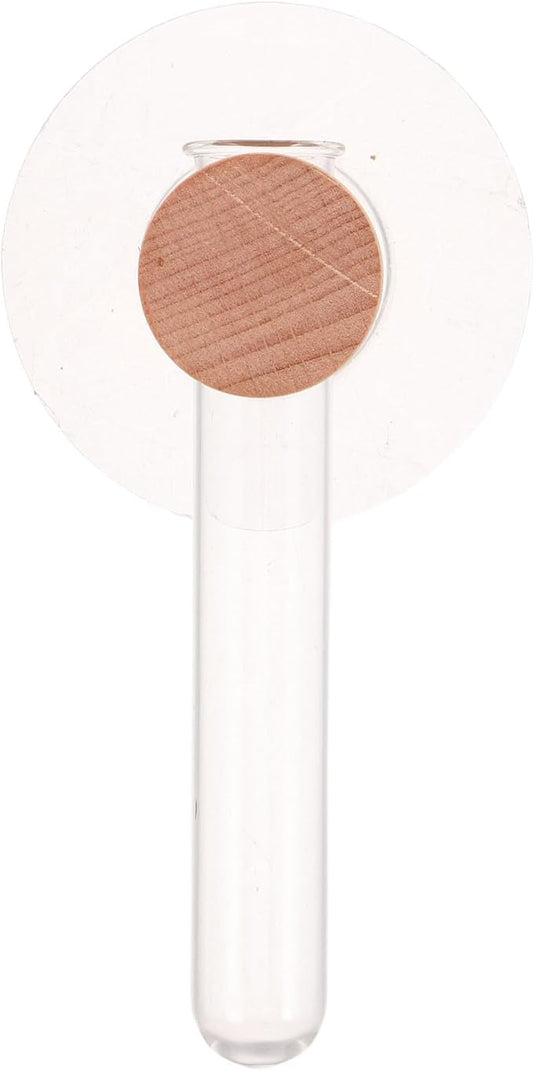 Milisten Plant Propagation Tubes: Wall Hanging Plant Terrarium with Wooden Stand Vase Glass Planter Stations for Hydroponic Flower Cutting Home Decor