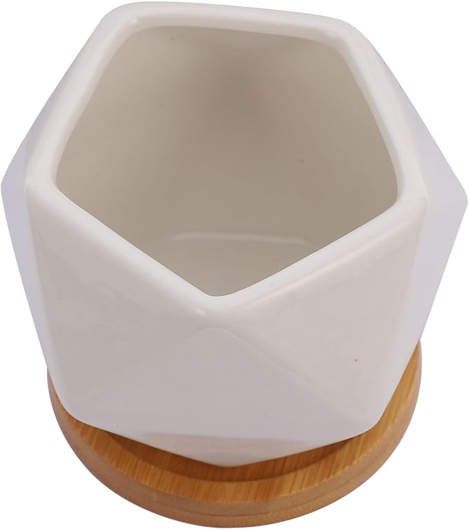 3 Sets Ceramic Succulent Flowerpot with Tray Geometric Bonsai Planter Pots for Indoor Succulents Seedling Pots with Air Permeability Cute Home Garden Decor