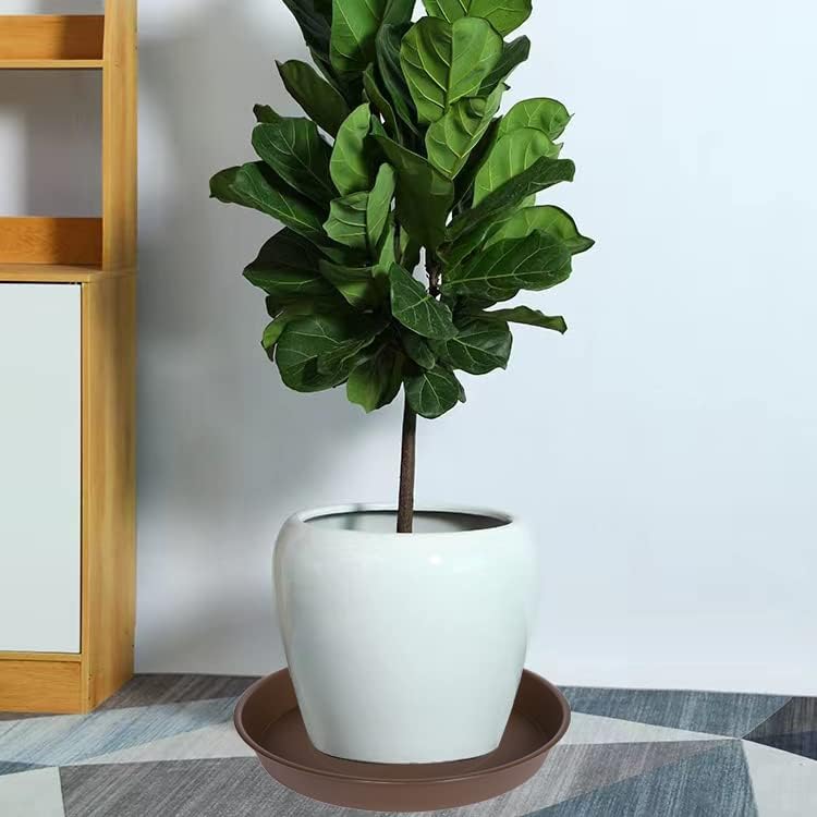 3 Pack of 20 22 inch Plant Saucer (19.2 Inch Base), 3.6" Depth Tray, Large Garden Plastic Flower Planter Plant Trays for Indoors Outdoor (22", Chocolate)