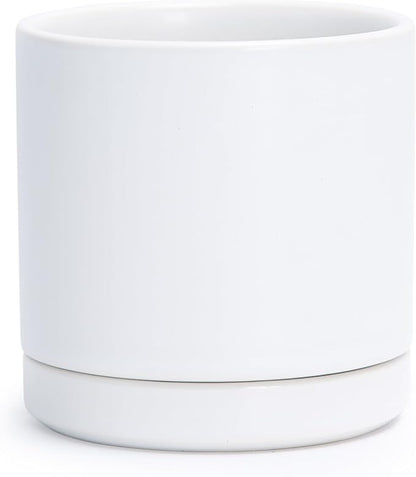 D'vine Dev 3.5 Inch Ceramic Planter Pot with Drainage Hole and Saucer, Indoor Cylinder Round Planter Pot, White, 94-O-A-1