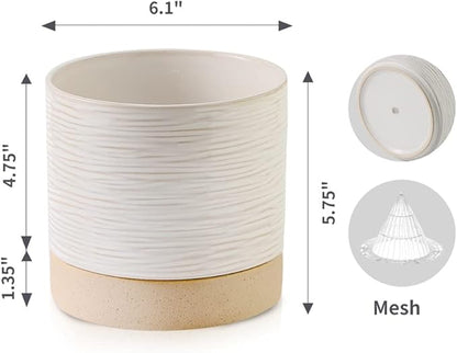 Nihow Ceramic Plant Pot: 6 Inch Planter with Drainage Hole & Saucer for Indoor & Outdoor Plants - Cylinder Round Flower Pot for Succulent/Herbs/Violets - Cream White & Brown