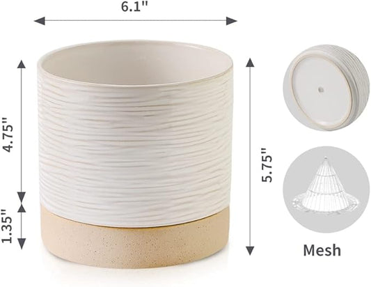 Nihow Ceramic Plant Pot: 6 Inch Planter with Drainage Hole & Saucer for Indoor & Outdoor Plants - Cylinder Round Flower Pot for Succulent/Herbs/Violets - Cream White & Brown