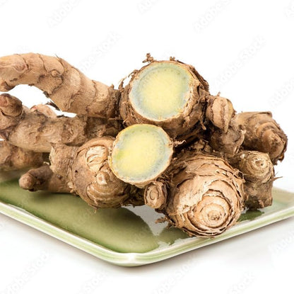 Green Turmeric Live Plant - (Curcuma aeruginosa) - Rare Medicinal Herb, Vibrant Pink Flowers, Ideal for Tropical Gardens (4 Green Turmeric Cups)