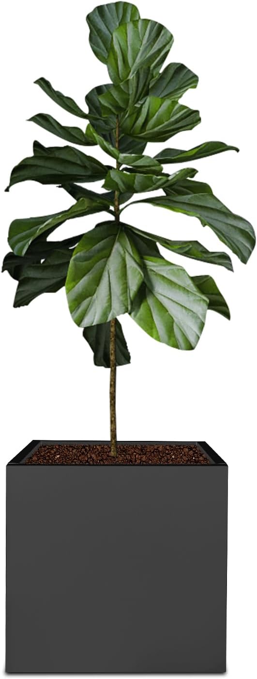 20" L x20 W x20 H Metal Flower Boxes Planter Boxes Outdoor Raised Garden Bed Indoor Outdoor Planting Bed Black Square Planter Box for Patios Lawn Yard Decor Storage