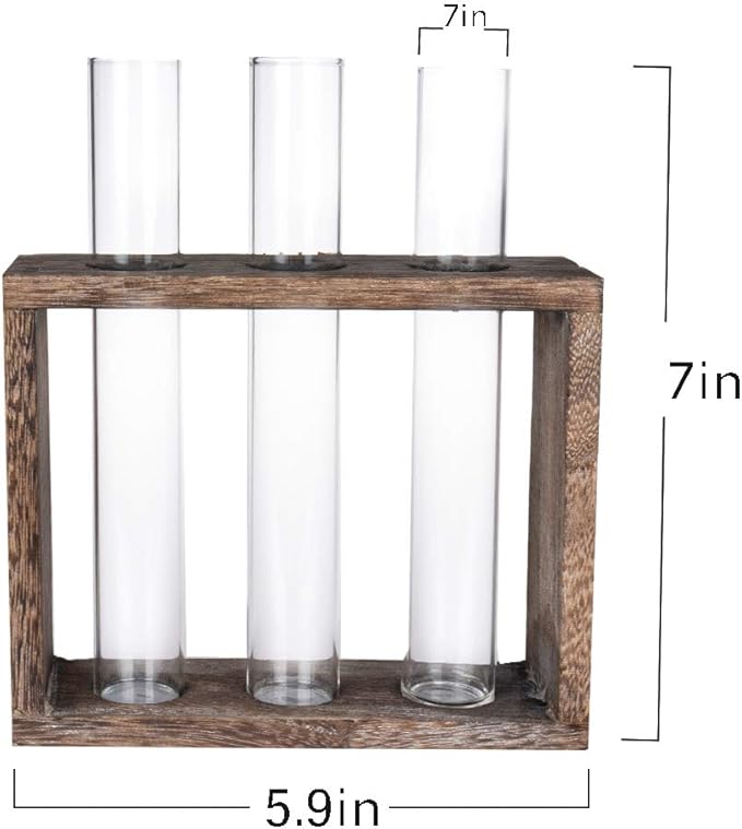 Wooden Propagation Station with 3 Glass Test Tubes, Tabletop Glass Terrarium Holder for Cuttings Hydroponics, Home Office Desk Decor Gift for Women Mom Plant Lovers, Brown