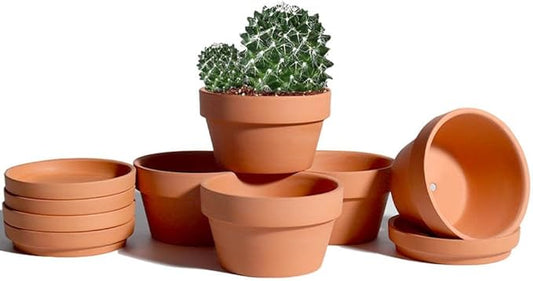 vensovo 5.7 Inch Terracotta Shallow Succulent Pot - 6 Pack Terra Cotta Clay Pots with Saucer, Cacuts Terra-Cotta Indoor and Outdoor Planters with Drainage Hole