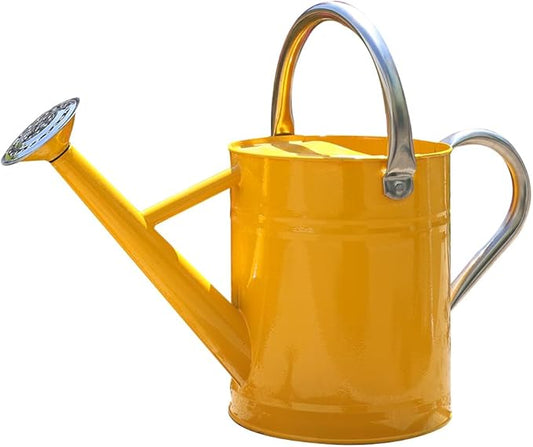 Metal Watering Can, One Gallon Watering Cans Stainless Steel for Outdoor Indoor Garden Plants Watering (Yellow)