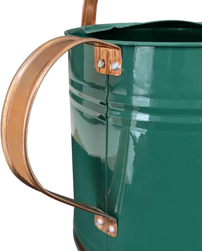 Metal Watering Can for Outdoor and Indoor Plants, Watering Can Decor, 1 Gallon (1 Gallon Green2)