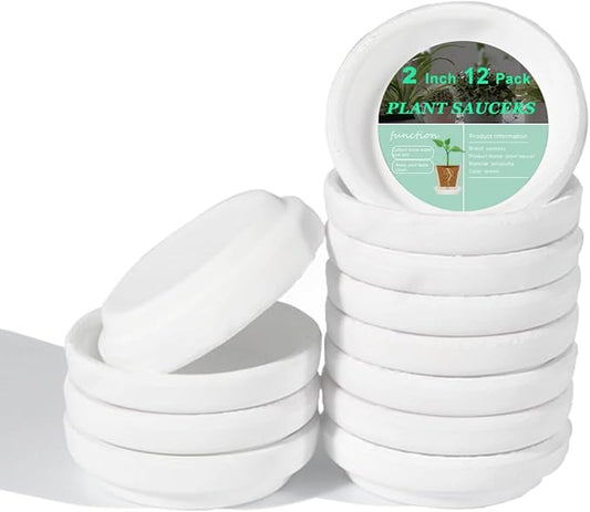 vensovo 2 Inch White Terracotta Plant Saucer Pots Tray - 12 pcs Mini Planter Saucers for Indoor & Outdoor Plants, Small Clay Trays Perfect for 1 Inch 1.5Inch Flower Pot