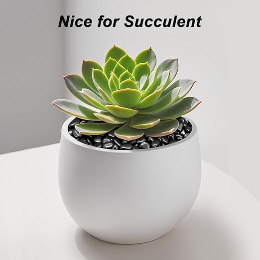 Landscaping Pebbles River Rocks Decorative Ornamental Pebbles Garden Landscaping Stones Gravel Filler for Home Decoration Flower Bed Fish Tank Plants Vases Succulents (1, Black, 1 Pound)