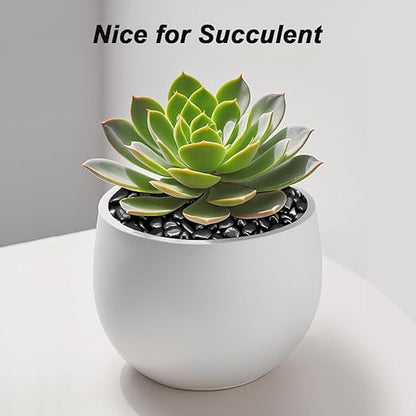 Landscaping Pebbles River Rocks Decorative Ornamental Pebbles Garden Landscaping Stones Gravel Filler for Home Decoration Flower Bed Fish Tank Plants Vases Succulents (1, Black, 1 Pound)