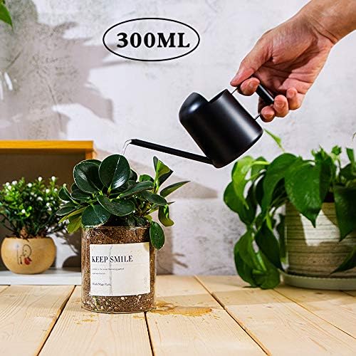 Watering Cans, 10oz/300ml Stainless Steel Long Spout Small Watering Sprinkling Pot, Indoor Outdoor Garden Flower Succulents Plant Watering Cans, Stylish Gardening Decoration(Black)