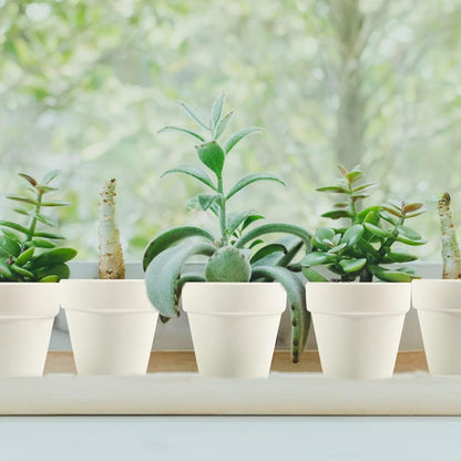 3 Inch Terracotta Pots - 22Pack Clay Flower Pots with Drainage Hole, Succulent Nursery Pot/Cactus Plant Pot. Great for Plants, Crafts, Wedding Favorn, DIY Production (White)