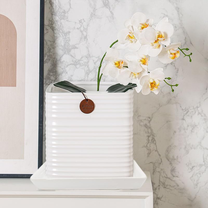 Square Plant Saucer 10 Inch 1 Pack，Plant Trays for Pots, White Ceramic Plant Saucers for Indoors Outdoors, Plant Drip Tray 4 6 8 10 12 14 Inch