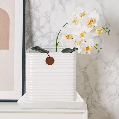 Square Plant Saucer 8 Inch 2 Pack，Plant Trays for Pots, White Ceramic Plant Saucers for Indoors Outdoors, Plant Drip Tray 4 6 8 10 12 14 Inch