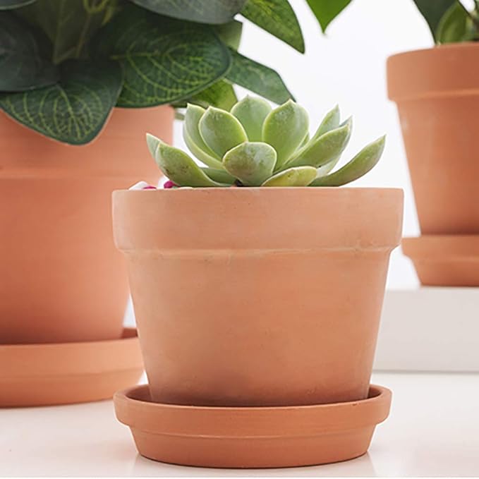 Briful 12 PCS Mini Terracotta Plant Pots 3.1"x2.9" Flower Pots Clay Pottery Planter with Saucer and Drainage Hole Cactus Succulent Nursery Pots- Great for Plants,Crafts