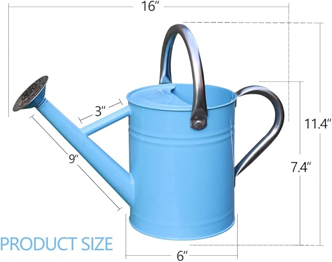 Metal Watering Can, One Gallon Watering Cans Stainless Steel for Outdoor Indoor Garden Plants Watering (Stainless Steel Handle Blue)