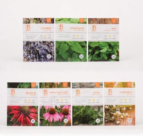 Bentley Seed Medicinal Herbs Starter Kit – Non-GMO Seeds for Indoor Planting - Heirloom Seed Packets - Individual Packets for Chamomile, Lavender, Catnip, Mint, Bee Balm, Lemon Balm, Purple Cone