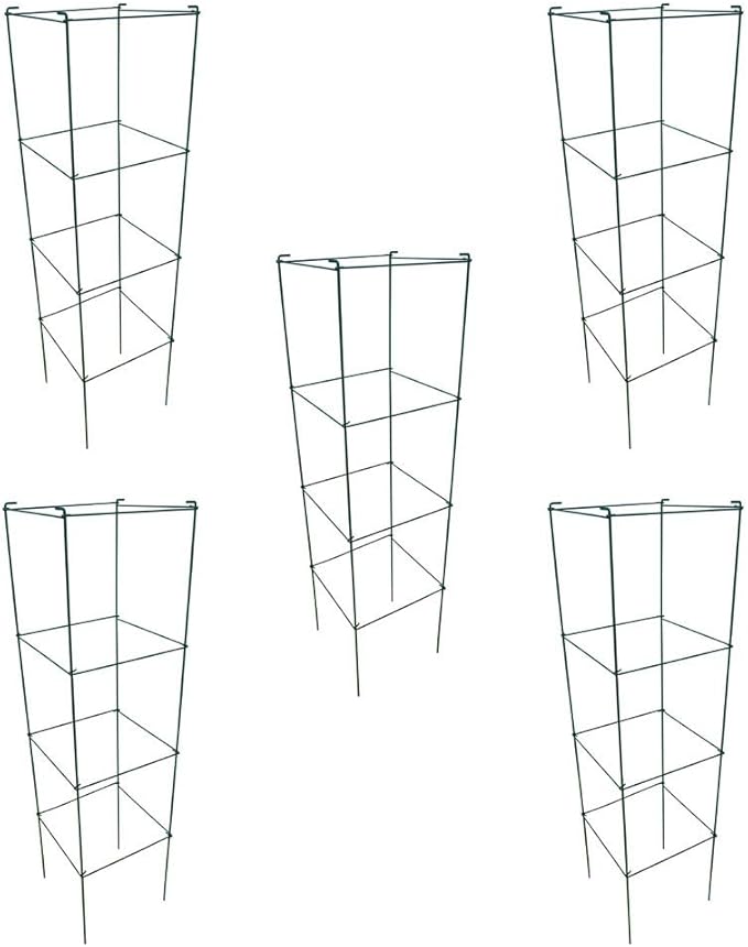 MTB Green Square Folding Tomato Cage Plant Support Tower 12 inch by 46 inch, Pack of 5 Sets