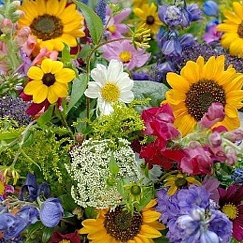 Dirt Goddess Super Seeds ~ Cut Flower Mix Seed (1/4 Lb)