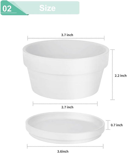 vensovo 3.7 Inch White Terracotta Shallow Succulent Pots - 6 Pack Terra Cotta Clay Pot with Saucer, Cacuts Indoor and Outdoor Planters with Drainage Hole