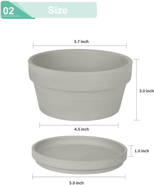 vensovo 5.7 Inch Grey Terracotta Shallow Succulent Pots - 6 Pack Terra Cotta Clay Pot with Saucer, Cacuts Indoor and Outdoor Planters with Drainage Hole